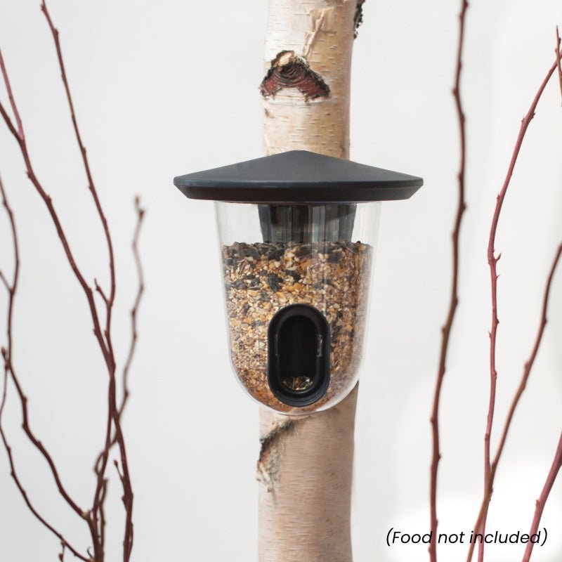 Singing Friend Feedr Bird Feeder Grey - BIRD HOUSE/ FEEDERS - Beattys of Loughrea
