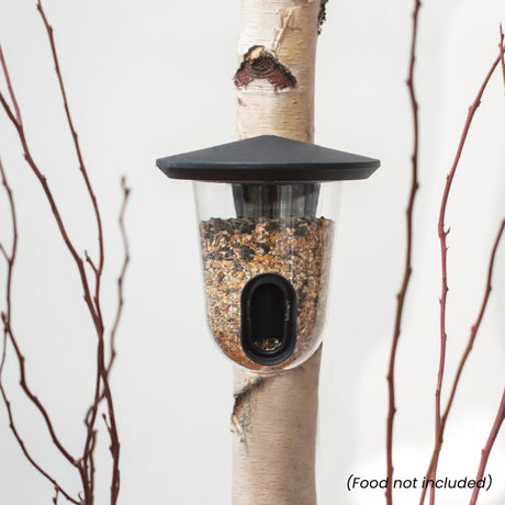 Singing Friend Feedr Bird Feeder Grey - BIRD HOUSE/ FEEDERS - Beattys of Loughrea