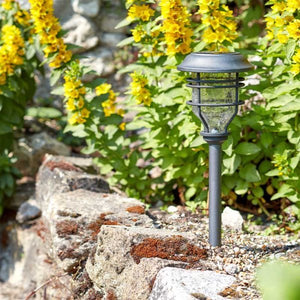 Solar Capri Stake Light 10 Lumen - SOLAR / GARDEN ORNAMENTS - Beattys of Loughrea