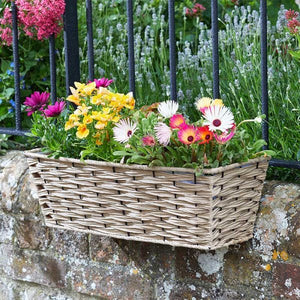 19in Bari Faux Rattan Planter - Sand - GDN PLANTER - METAL/POTTERY - Beattys of Loughrea