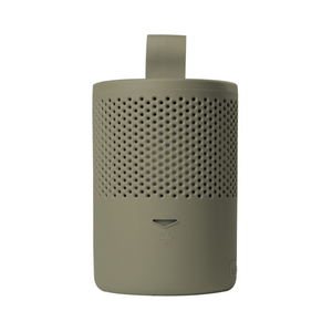 AbsoDry Duo Family Moisture Absorber 600g Bag Green - DE HUMIDIFIER - Beattys of Loughrea