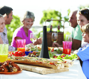 Creative Products Fly Away - BBQ FUEL BBQ TOOLS, ACCESSORIES , TENT PEGS - Beattys of Loughrea