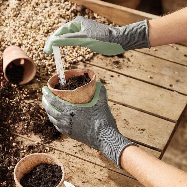Briers Seed & Weed Gloves Medium - GARDEN GLOVES ,APRONS, KNEE PADS, GARDEN PEGS - Beattys of Loughrea