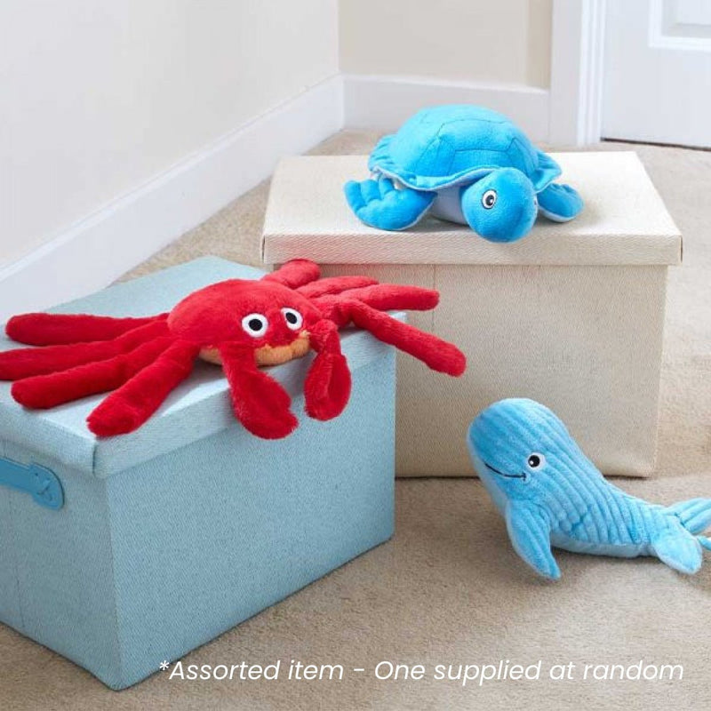 Poochie Recycled Sea Squeakers - One Supplied* - PET TOYS BOOKS - Beattys of Loughrea