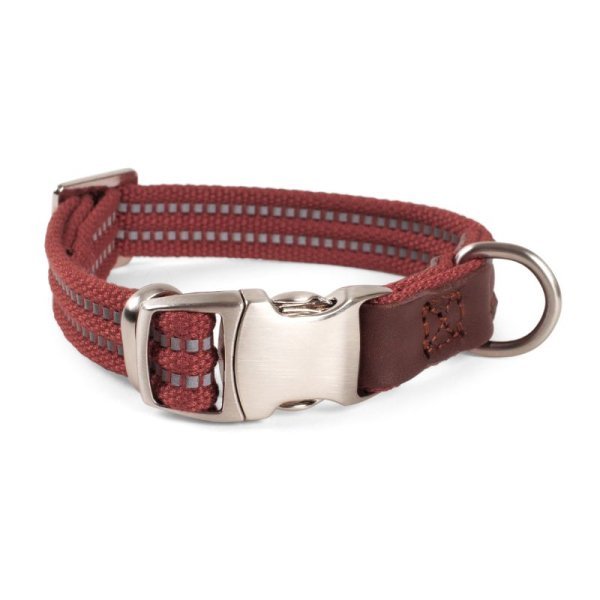 Primo - Burgundy - XS - Walkabout Dog Collar (20cm-30cm) - PET LEAD, COLLAR AND ID, SAFETY - Beattys of Loughrea