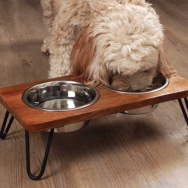 Double Diner Feeding Bowl & Stand - PET FEEDING BOWL, LITTER TRAY - Beattys of Loughrea