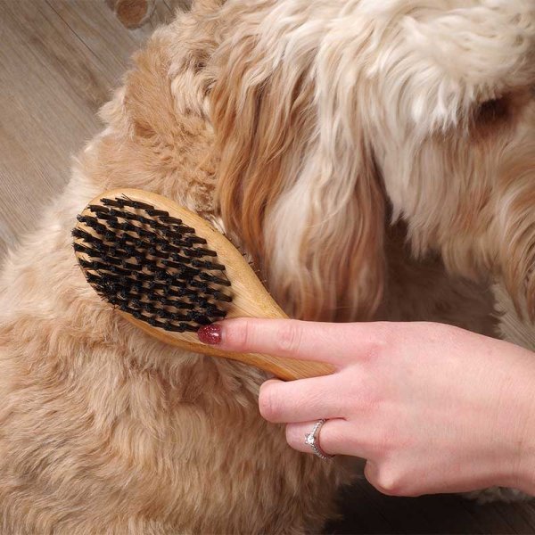 Double Sided Pet Brush - PET SHAMPOO FLEA PWDR GROOMING - Beattys of Loughrea