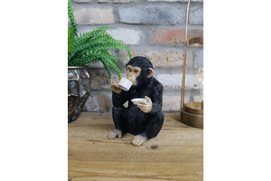 Cup of Tea Monkey 18cm - ORNAMENTS - Beattys of Loughrea