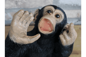 Up Yours Monkey Wine Holder 30cm - WINE RACKS - Beattys of Loughrea