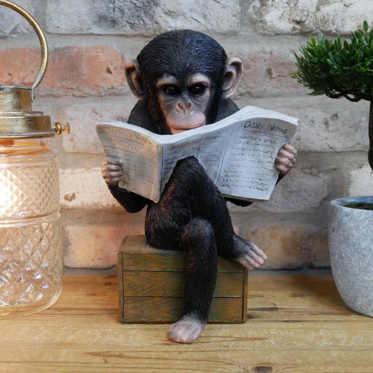 Monkey Reading The News Ornament 28cm - ORNAMENTS - Beattys of Loughrea