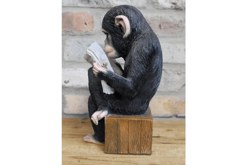 Monkey Reading The News Ornament 28cm - ORNAMENTS - Beattys of Loughrea