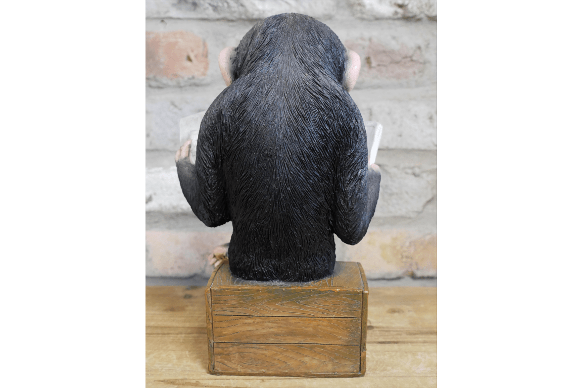 Monkey Reading The News Ornament 28cm - ORNAMENTS - Beattys of Loughrea