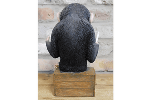 Monkey Reading The News Ornament 28cm - ORNAMENTS - Beattys of Loughrea