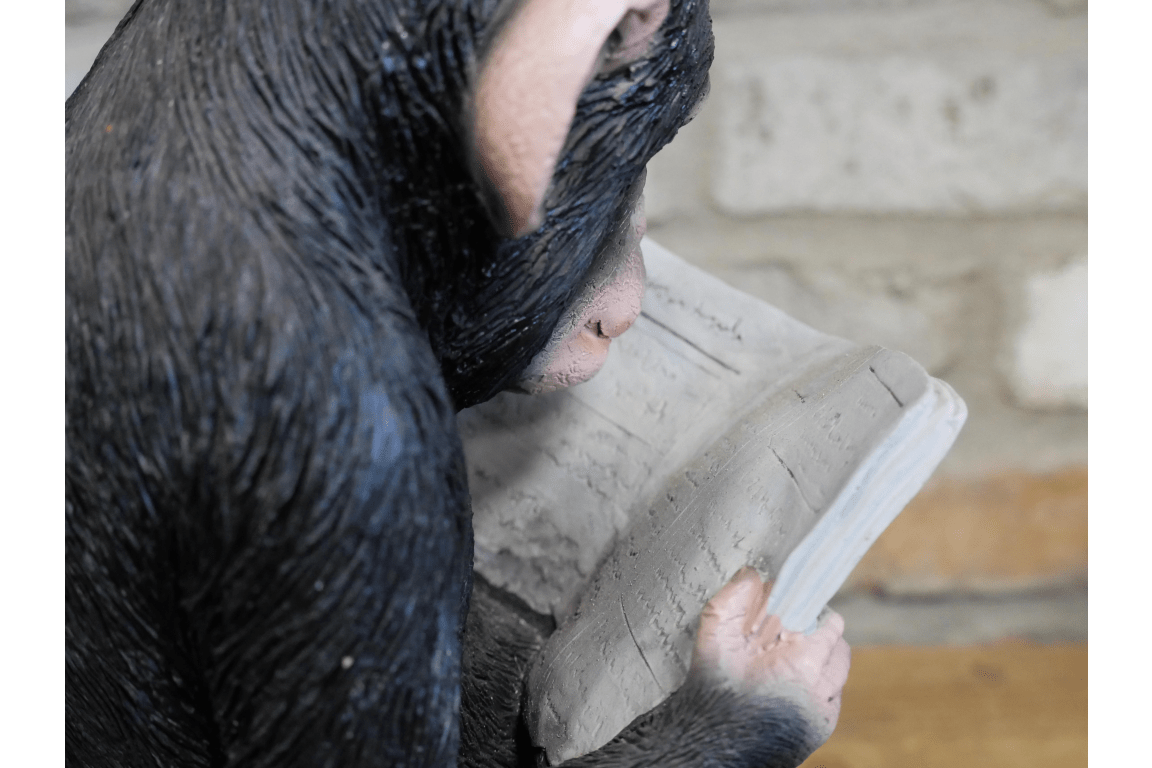 Monkey Reading The News Ornament 28cm - ORNAMENTS - Beattys of Loughrea
