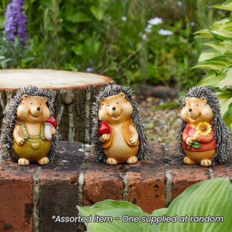 Baby Hoglet Figurine Assorted - One Supplied* - GARDEN ORNAMENTS INCL SOLAR - Beattys of Loughrea