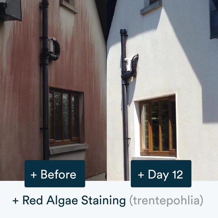 Actiwash Domestic 5L Biocidal Exterior Surface Cleaner - Chlorine Free