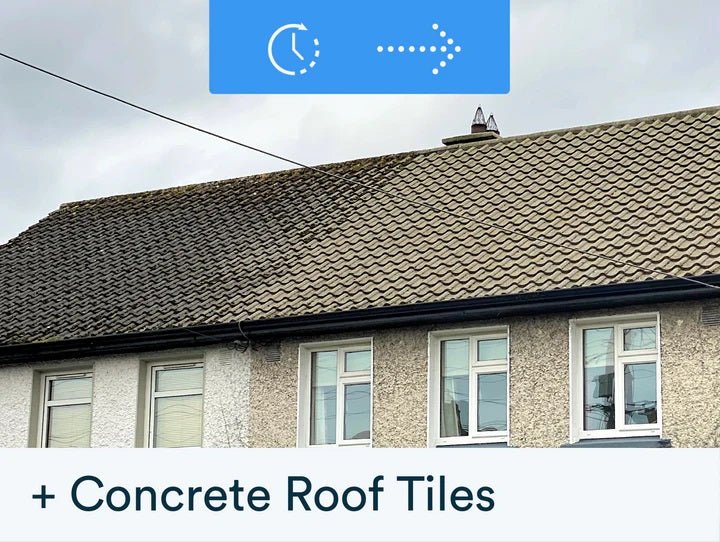 Actiwash Domestic: Powerful Outdoor Biocide 5L - FUNGICIDE/TAR OIL - Beattys of Loughrea