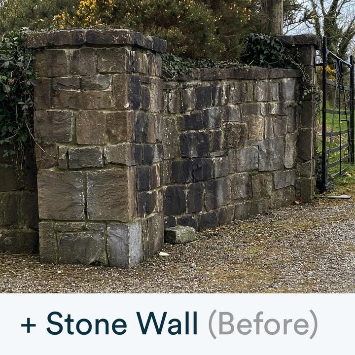 Actiwash Domestic: Powerful Outdoor Biocide 5L - FUNGICIDE/TAR OIL - Beattys of Loughrea