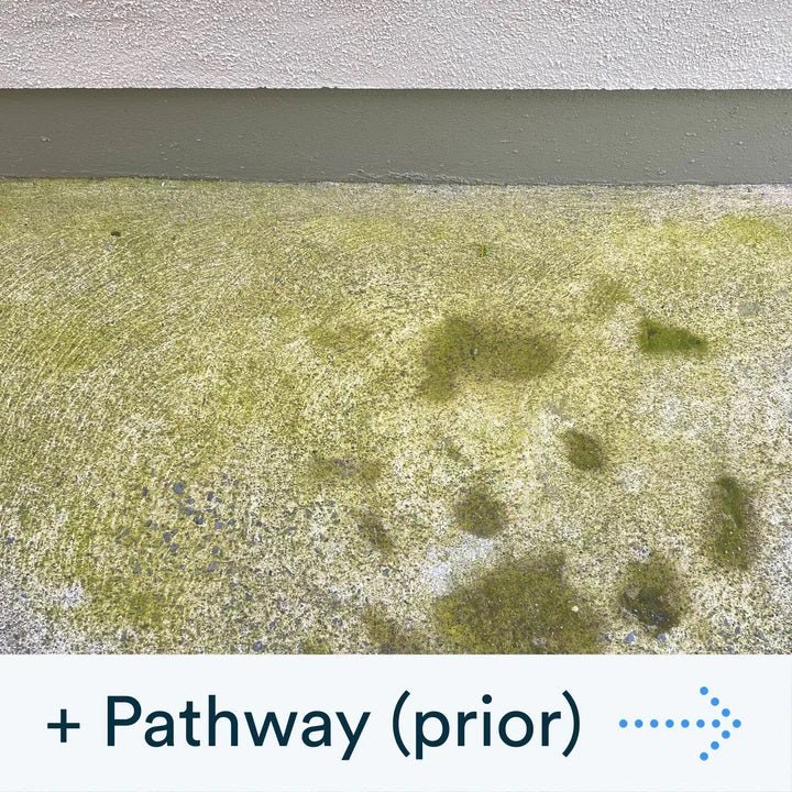 Actiwash Pro: Professional Softwash Biocide 5L - FUNGICIDE/TAR OIL - Beattys of Loughrea