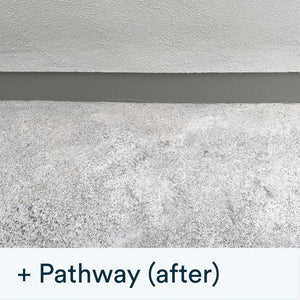 Actiwash Pro: Professional Softwash Biocide 5L - FUNGICIDE/TAR OIL - Beattys of Loughrea