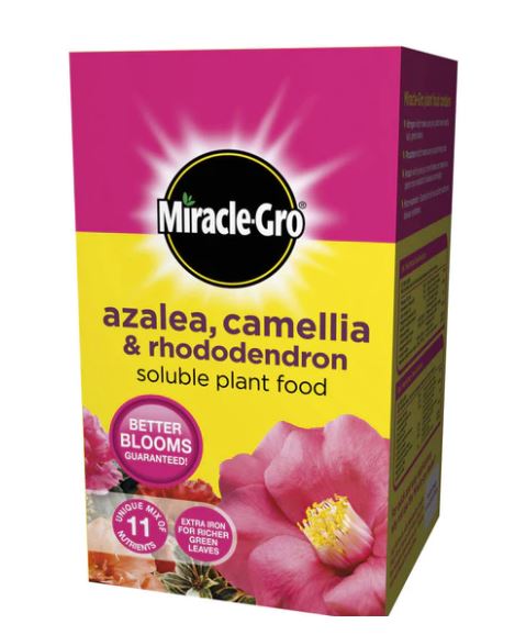 Miracle Gro I Soluble Plant Food I Ericaceous Azalea Camellia & Rhododendron I 500G - FERTILISER GRANULAR/SOLUBLE/LIQ - Beattys of Loughrea