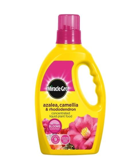 Miracle-Gro Azalea, Camellia & Rhododendron Liquid Plant Food - 1 Litre - FERTILISER GRANULAR/SOLUBLE/LIQ - Beattys of Loughrea