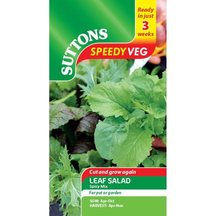 Suttons Speed Seed Leaf Salad Spicy Mix 184429 - SEED VEG & FLOWER - Beattys of Loughrea