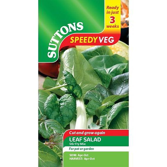 Suttons Speedy Seed Leaf Salad Stir Fry Mix 184437 - SEED VEG & FLOWER - Beattys of Loughrea