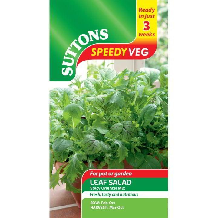 Suttons Speedy Seed Leaf Salad Oriental Mix 184968 - SEED VEG & FLOWER - Beattys of Loughrea