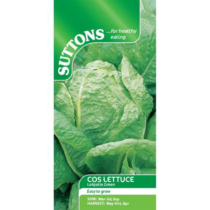 Suttons Lettuce Lobjoits Green Cos 169208 - SEED VEG & FLOWER - Beattys of Loughrea