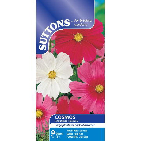 Suttons Cosmea Sensation Tall Mix 111230 - SEED VEG & FLOWER - Beattys of Loughrea