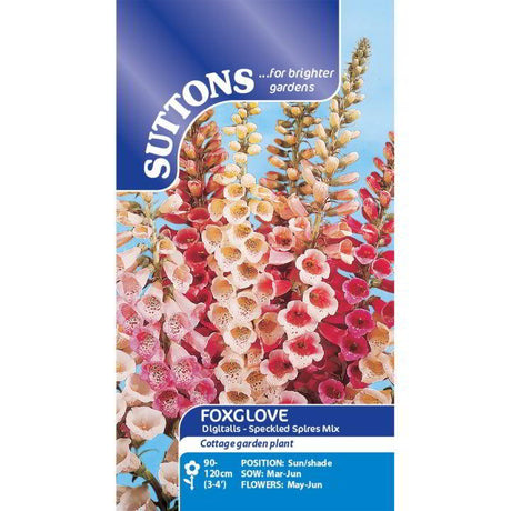 Suttons Foxglove Digitalis Speckled Spires Mix 113886 - SEED VEG & FLOWER - Beattys of Loughrea