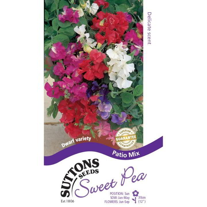 Suttons Sweet Pea Patio 134706 - SEED VEG & FLOWER - Beattys of Loughrea
