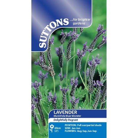 Suttons Lavender Multifida Blue Wonder 118964 - SEED VEG & FLOWER - Beattys of Loughrea