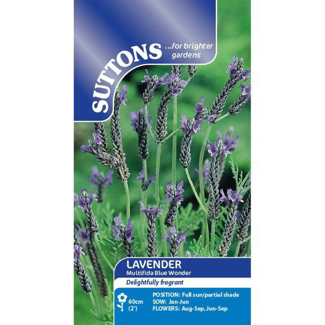 Suttons Lavender Multifida Blue Wonder 118964 - SEED VEG & FLOWER - Beattys of Loughrea