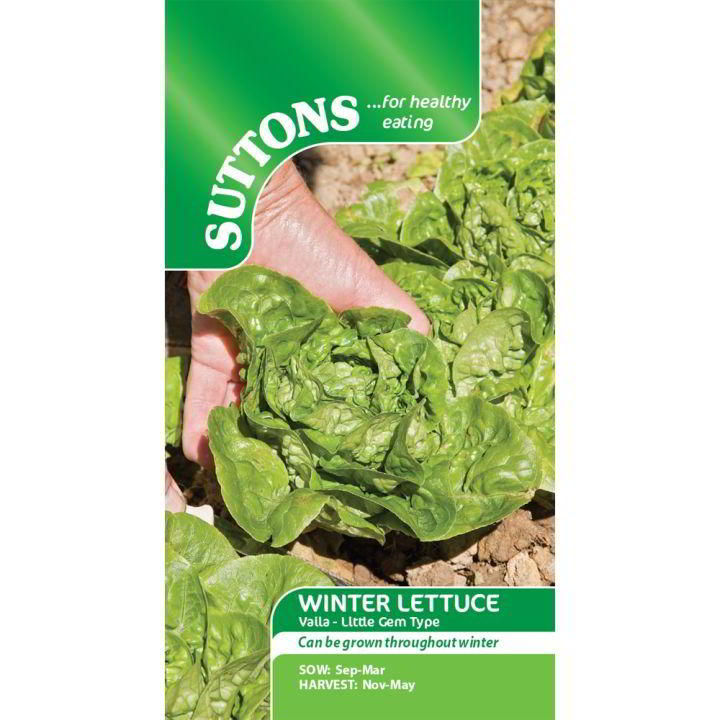 Suttons Lettuce Winter Gem 167916 - SEED VEG & FLOWER - Beattys of Loughrea