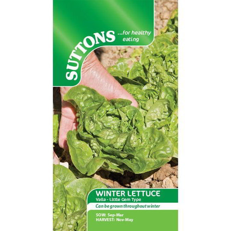 Suttons Lettuce Winter Gem 167916 - SEED VEG & FLOWER - Beattys of Loughrea