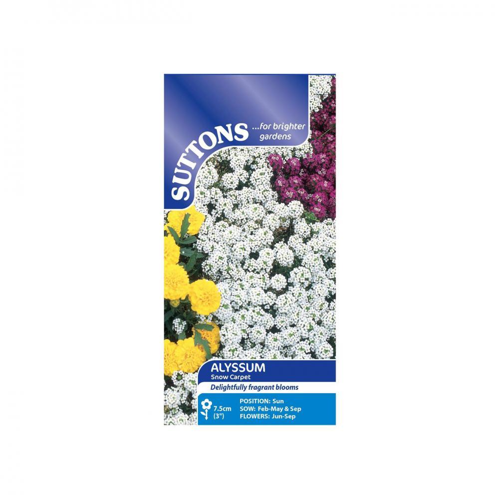 Suttons Alyssum Snow Carpet 101016 - SEED VEG & FLOWER - Beattys of Loughrea