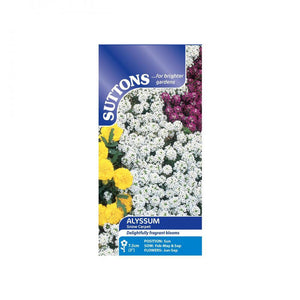 Suttons Alyssum Snow Carpet 101016 - SEED VEG & FLOWER - Beattys of Loughrea