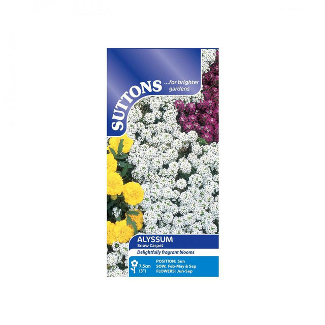 Suttons Alyssum Snow Carpet 101016 - SEED VEG & FLOWER - Beattys of Loughrea
