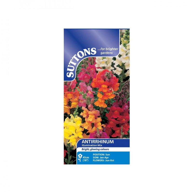 Suttons Antirrhinum Illumination Mix 102410 - SEED VEG & FLOWER - Beattys of Loughrea