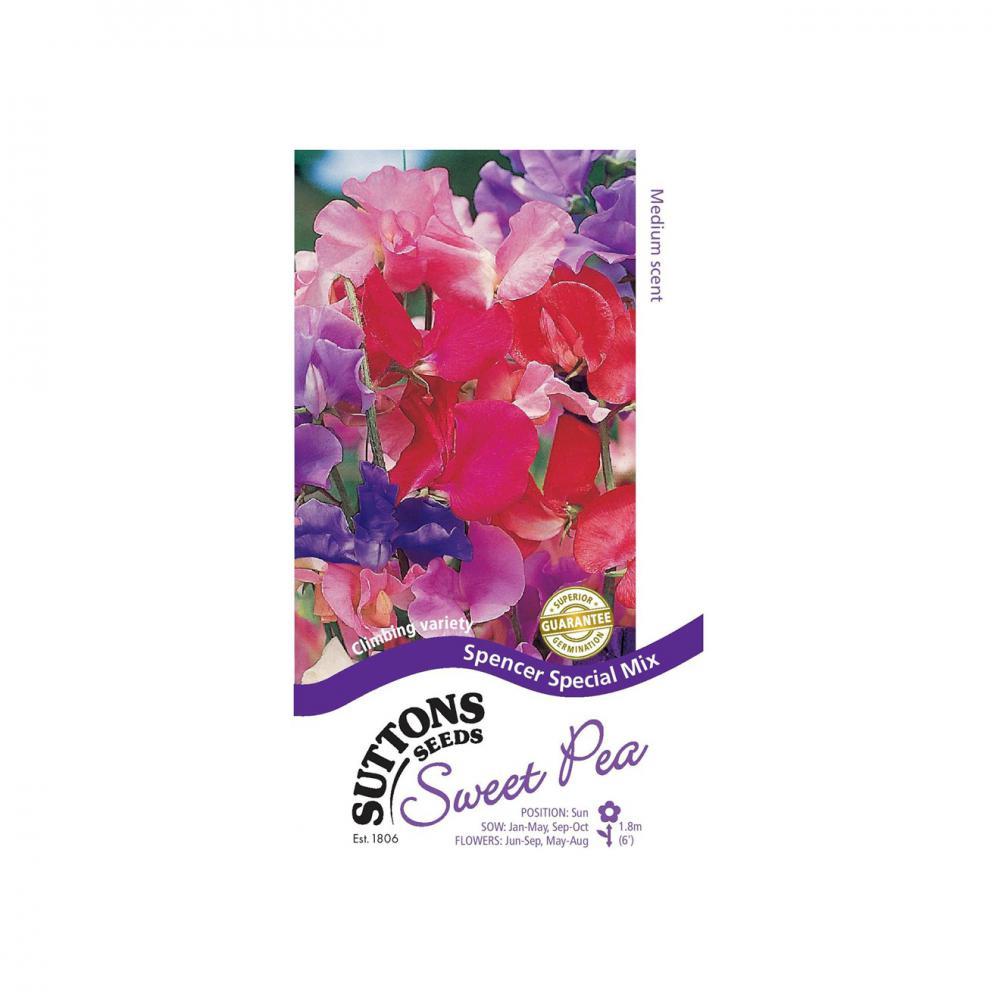 Suttons Sweet Pea Sm Spencer Vars 134250 - SEED VEG & FLOWER - Beattys of Loughrea
