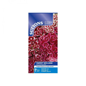 Suttons Sweet William Auricula-Eyed Flower Seeds - SEED VEG & FLOWER - Beattys of Loughrea