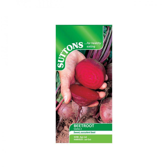 Suttons Beetroot Globe 2 151251 - Beattys of Loughrea | www.beattys.ie