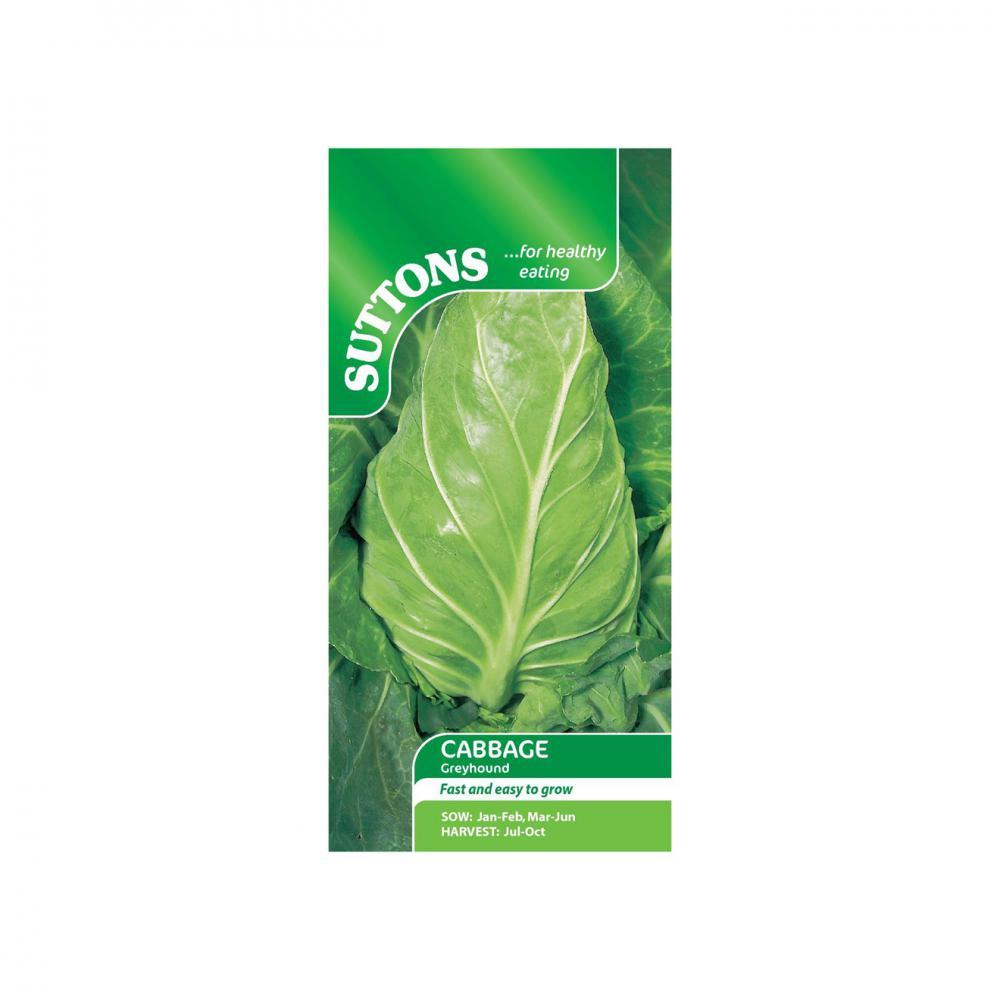 Suttons Cabbage Greyhound 153805 - SEED VEG & FLOWER - Beattys of Loughrea