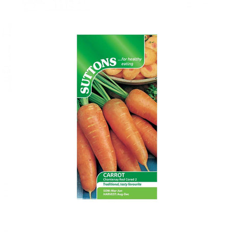 Suttons Carrot Chantenay Red Cored 157335 - SEED VEG & FLOWER - Beattys of Loughrea