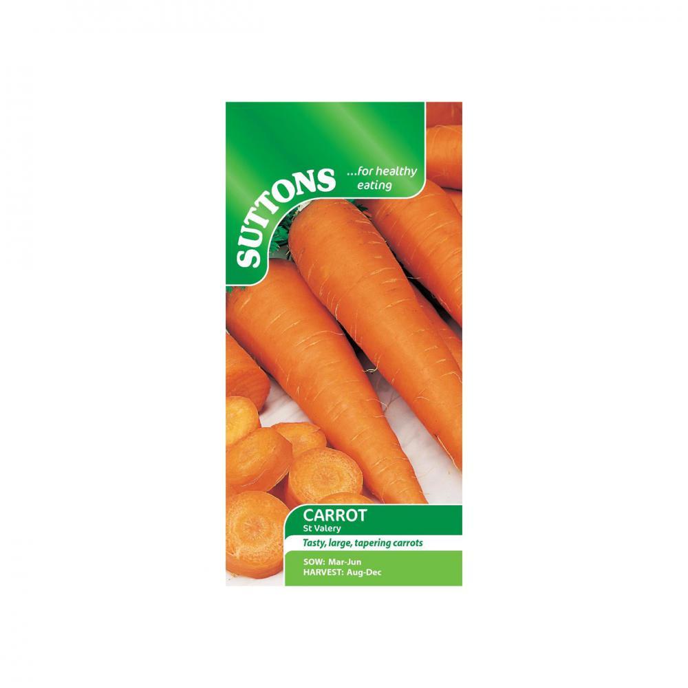 Suttons Carrot St Valery 157475 - Beattys of Loughrea | www.beattys.ie