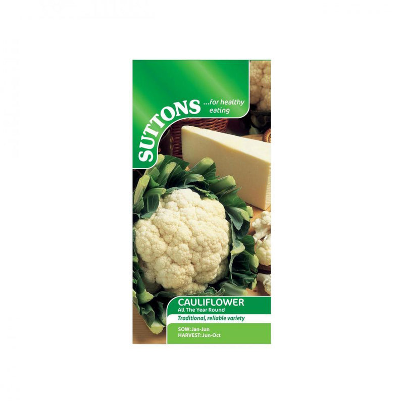 Suttons Cauliflower All Year Round 158489 - SEED VEG & FLOWER - Beattys of Loughrea
