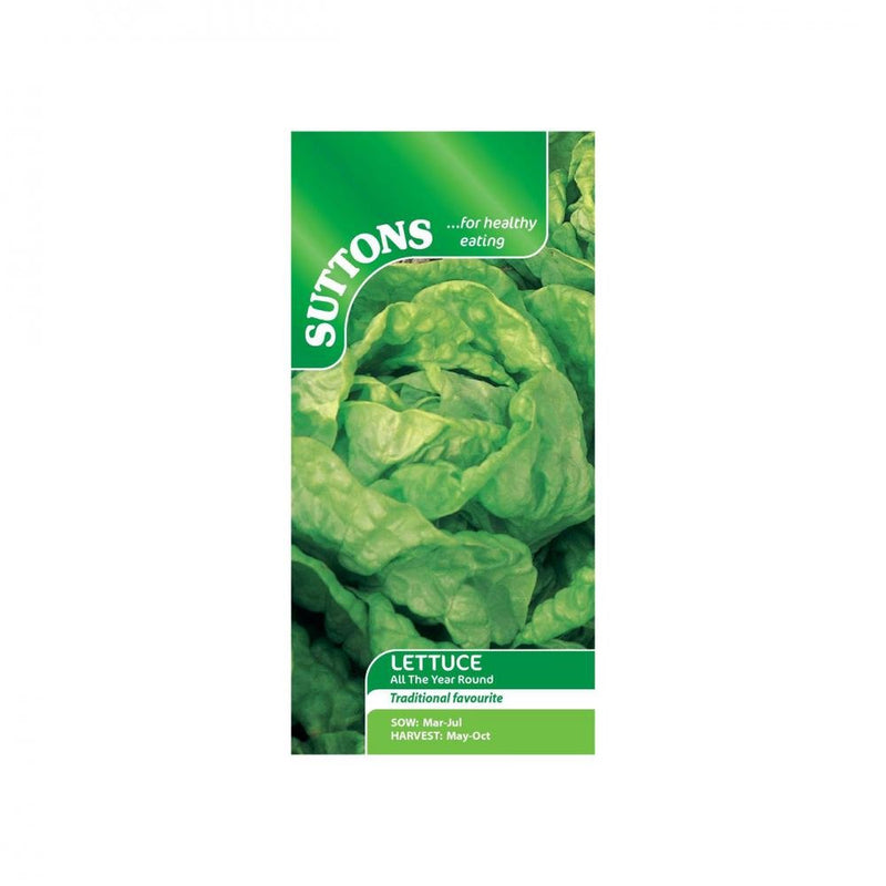 Suttons Lettuce All The Year Round 167975 - SEED VEG & FLOWER - Beattys of Loughrea