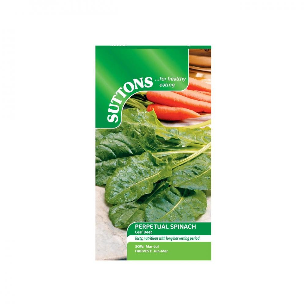 Suttons Spinach Scenic Perpetual Leaf Beet 178435 - Beattys of Loughrea | www.beattys.ie